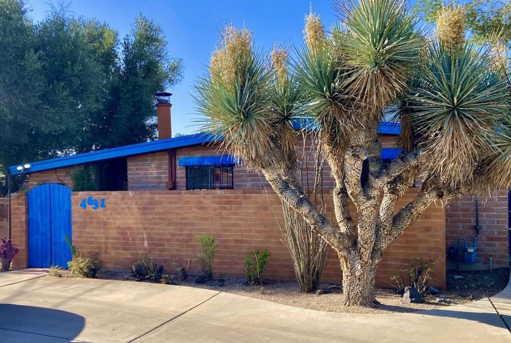 Casa Azul - Cute Centrally Located Adobe With Large Fenced Outdoor Living For Pets And Adults, Non-Smoking Тусон Екстер'єр фото